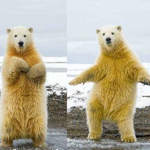 Kristian Richardson Photo 10