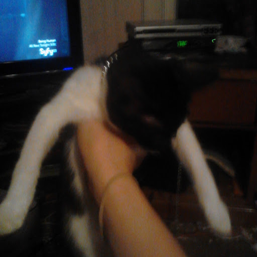 Daniel Clay Photo 37