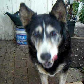 Janice Davidson Photo 31