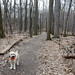 Laurie Webb Photo 32