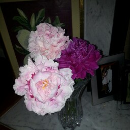 Regina Gilbert Photo 18