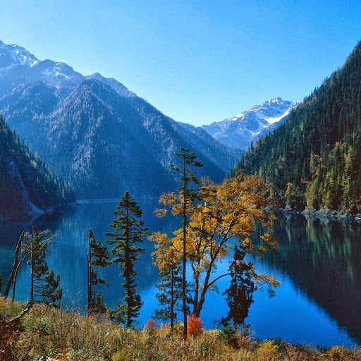 Jack Hanson Photo 34