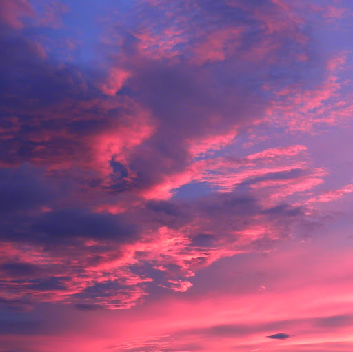 Patrick O'Leary Photo 17