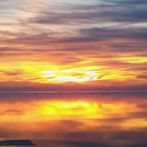 Charles Weinstein Photo 16