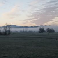 Laurie Christenson Photo 10