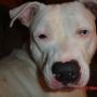 John Schaefer Photo 26