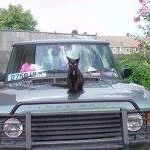 Katrina Beckwith Photo 8