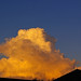 Jerry Lamont Photo 19