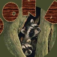 Roger Lindsey Photo 11