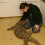 Colleen Fleming Photo 27