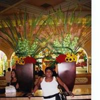 Christine Lindsey Photo 20