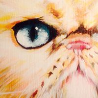 Lisa Triplett Photo 16