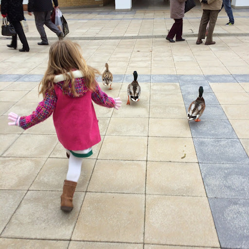 Levi Murphy Photo 25