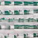 Patrick Hurley Photo 18