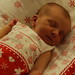 Frances Rogers Photo 20