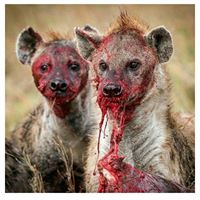 Michael Padmore Photo 6