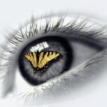 Maribel Ayala Photo 27