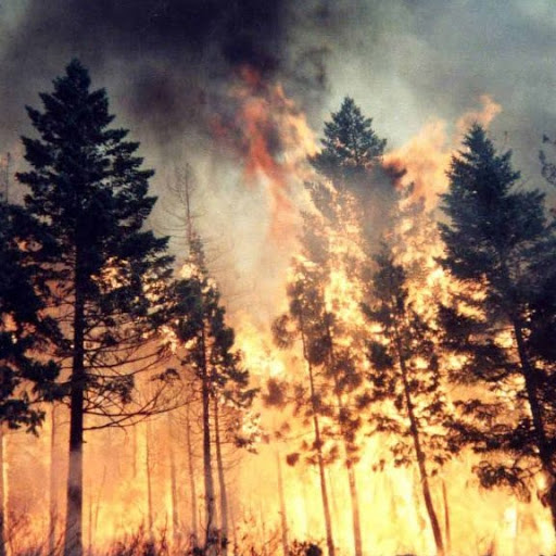 Steven Neill Photo 17