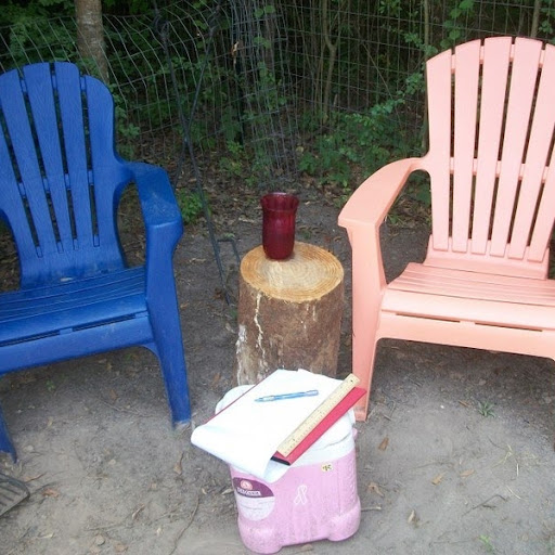 Denise Benner Photo 10