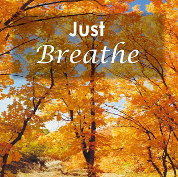 Erika Jacobs Photo 29