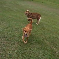 Janet Knotts Photo 16