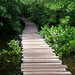Kim Wynns Photo 10