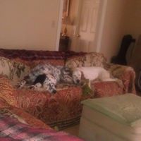 Thomas Swanson Photo 24