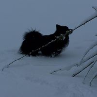 Karen Greer Photo 20 Karen Greer Photo 20