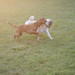 Janice Horton Photo 27