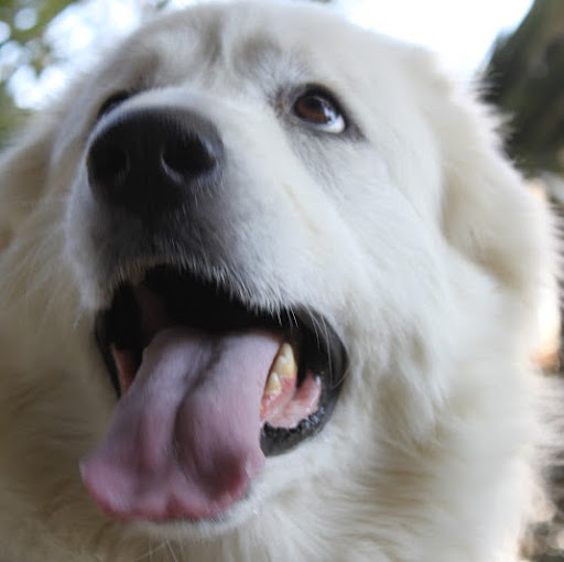 Cindy Simmons Photo 21