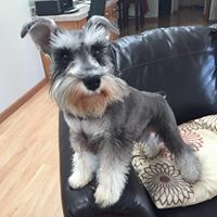 Peter Strang Photo 18