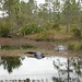 Richard Decoursey Photo 4