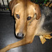 Kathy Shepherd Photo 28