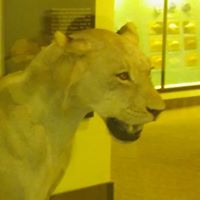 Zachary Kuhn Photo 15