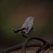Barbara Gray Photo 35