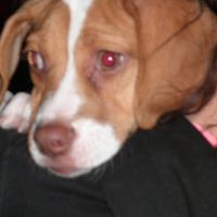 Lisa Conklin Photo 11