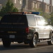 Elizabeth Sheriff Photo 22
