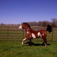 Vicki Penrod Photo 9