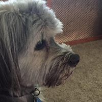 Ann Jeffries Photo 26