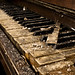 Michael Alt Photo 25