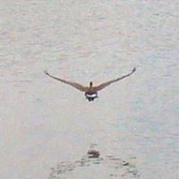 Susan Drake Photo 6 Susan Drake Photo 6