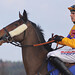 Harry Skelton Photo 16