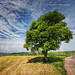 Christophe Lang Photo 10