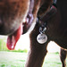 Alice Harrell Photo 19
