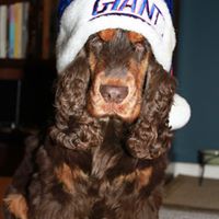 Michael Sas Photo 17