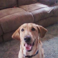 Scott Perryman Photo 26