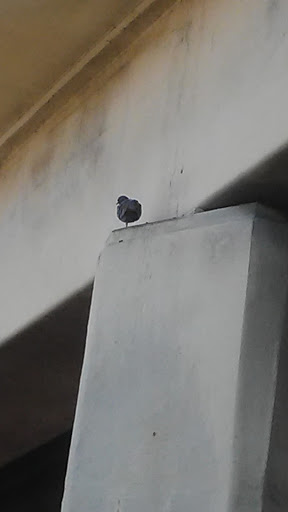 Marguerite Moore Photo 32