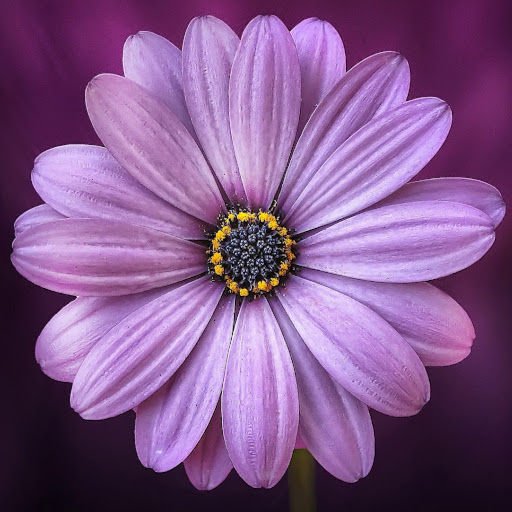 Christine Cherry Photo 10