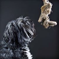 Anne Hamilton Photo 37 Anne Hamilton Photo 37