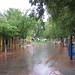 Alice Rains Photo 9